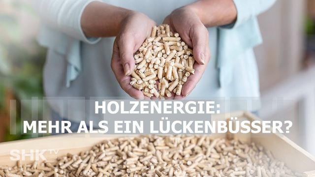 Wie steht es um die Holzenergie?